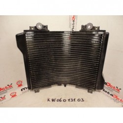 Radiatore Acqua Water Radiator Kuhlerlufter Kawasaki ZZ R 1100 90 93