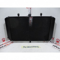 Radiatore acqua Water Radiator Kuhlerlufter Kawasaki Z 1000 10 14