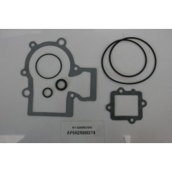 Serie guarnizioni Gasket...
