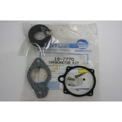 Kit carburatore SIERRA...