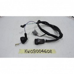 Cablaggio sensori motore Wiring engine sensors Kawasaki Z 1000 10 14