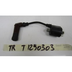 Bobina accensione Ignition...