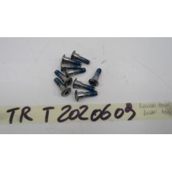 Bulloni dischi freno...