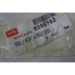 Rondella variatore Variator...