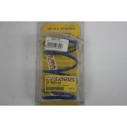 Molla contrasto variatore...