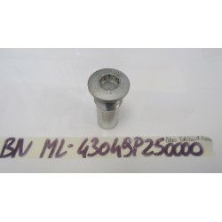 Vite perno piastra forcella...