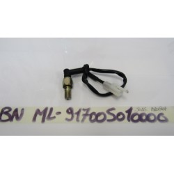 Interruttore idrostop freno...