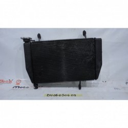 Radiatore acqua Water Radiator Kuhlerlufter Ducati Multistrada 1200