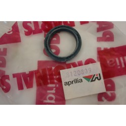 Paraolio 18X24X4 biella...