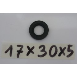 Paraolio 17 X 30 X 5 Oil seal