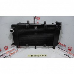 Radiatore acqua Water Radiator Kuhlerlufter Yamaha fazer 600 fz6 04 06
