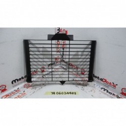 Griglia Protezione Radiatore Radiator Guard Yamaha Fazer 600 Fz6 04 06
