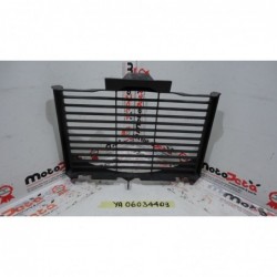Griglia Protezione Radiatore Radiator Guard Yamaha Fazer 600 Fz6 04 06
