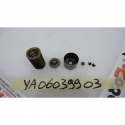 Arredo Montaggio Valvole Intake valve Yamaha mt 07 14 16