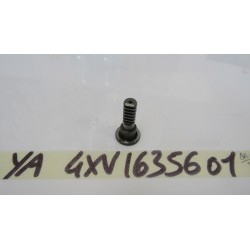 Biella asta spingi frizione...