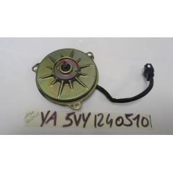 Motorino ventola radiatore...