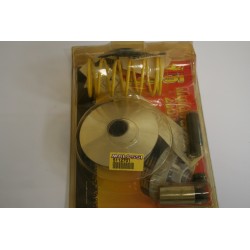 Variatore MALOSSI MULTIVAR...