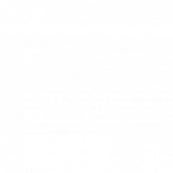 Carena Cupolino verkleidung Front fairing MV agusta 80R070142