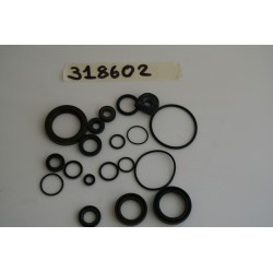 Kit paraoli Oil seals set...