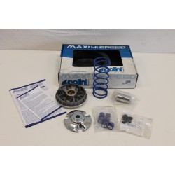 Variatore POLINI MAXI...