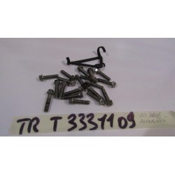 Bulloni carter avviamento...