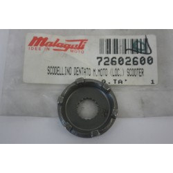 Scodellino dentato messa in...