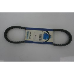 Cinghia trasmissione...