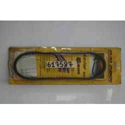 Cinghia trasmissione...