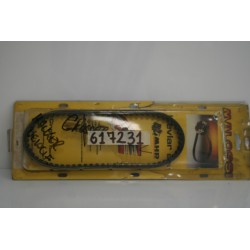 Cinghia trasmissione...