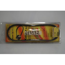 Cinghia trasmissione...