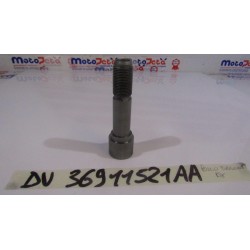 Perno forcellone dx Swing...