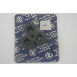 Paraolio 17X35X7,5 (1pz.)...