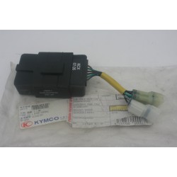 Centralina CDI Control unit...