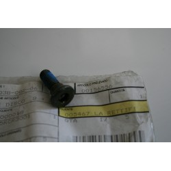 Vite 8X1,25X24mm con...
