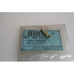 Vite vaschetta carburatore...