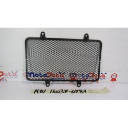 Griglia radiatore Radiator...