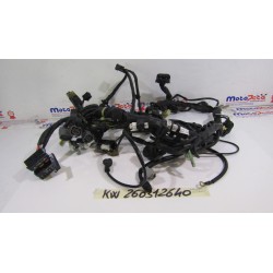 Impianto elettrico Wiring...