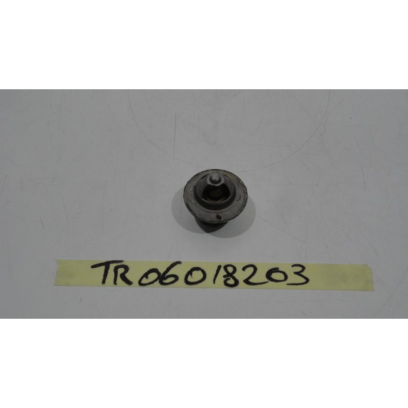 Valvola Termostatica Thermostatic valve Triumph Speed Triple 1050