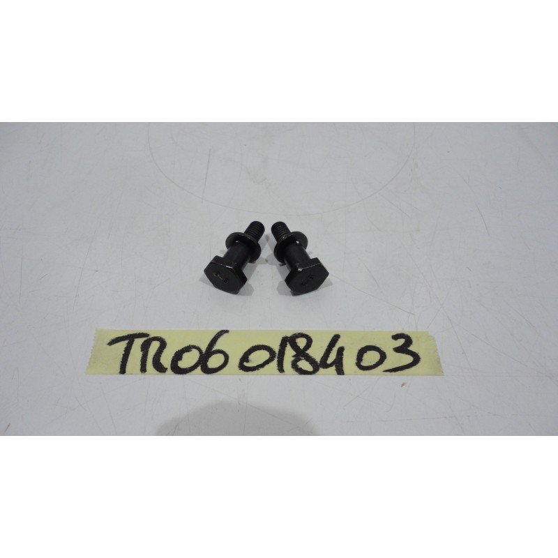 Viti perni tendi catena Screws pins chain tightener Triumph Speed Triple 1050 05 07