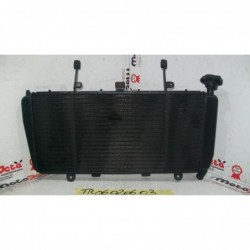 Radiatore acqua Water Radiator Triumph Sprint 1050 GT 10 13