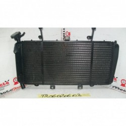 Radiatore acqua Water Radiator Triumph Sprint 1050 GT 10 13
