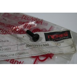 Vite 5M 80x16 DERBI Screw