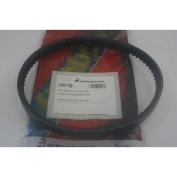 Cinghia trasmissione...