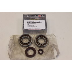 Kit cuscinetti a rulli +...
