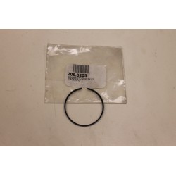 Segmento fascia elastica...