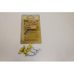 Kit molle frizione MALOSSI...