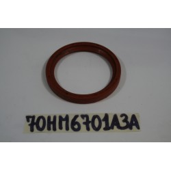 Paraolio albero motore...