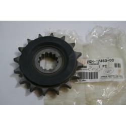 Pignone Z16 Pinion Front...