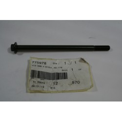 Vite Perno M 10X1,50-175...