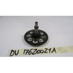 Ingranaggio motorino...